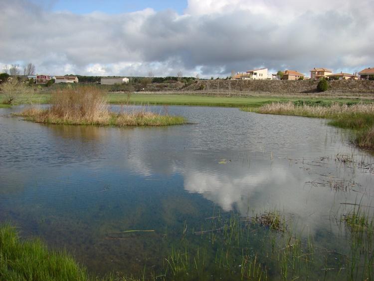 Laguna de Tamariz de Campos - Refugio de Pesca