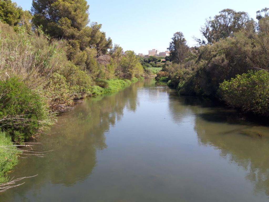 Riuet del Port de Manacor - Pesca del Cangrejo