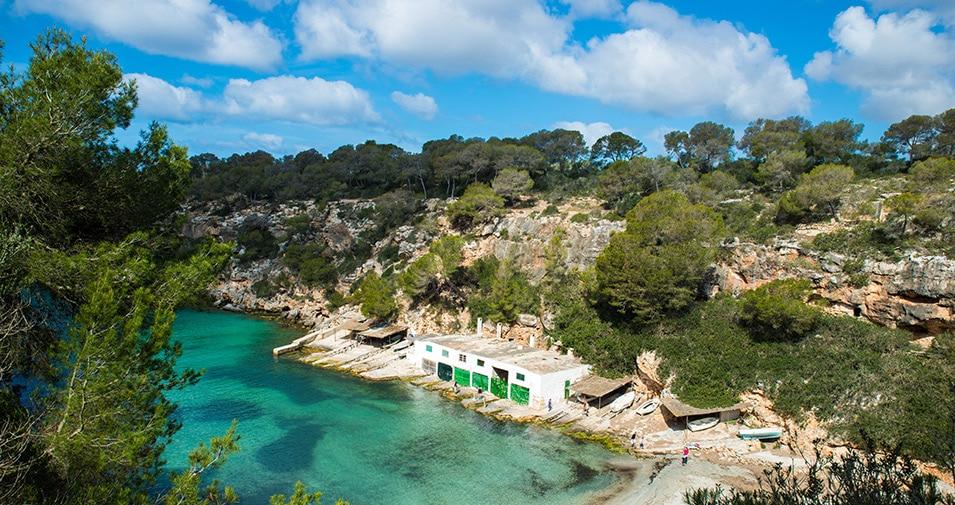 Cala pi - Pesca del Cangrejo