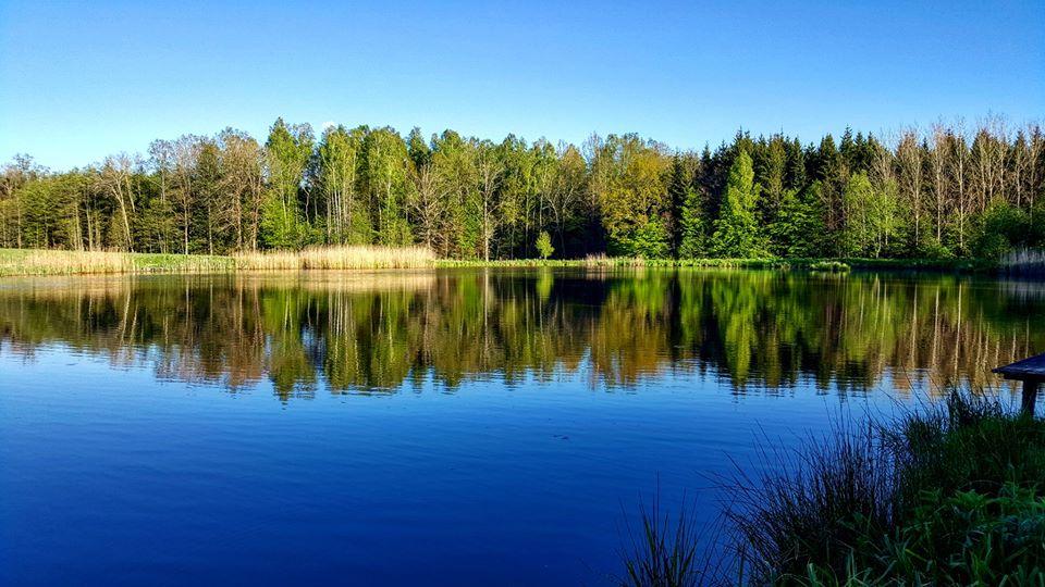 Łowisko Warmińska Cisza