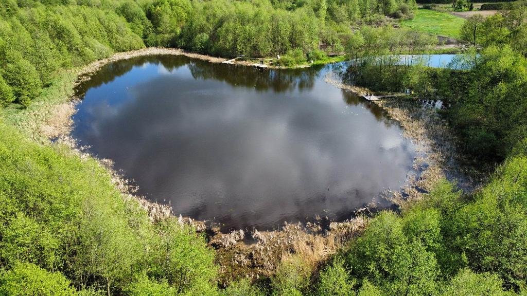 Dziki Staw Łowisko Zakrzewek 30 