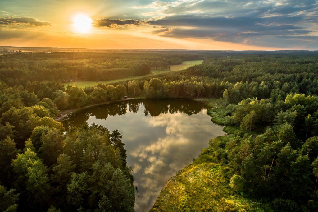 Sumcový revír - Rybolov Pícha