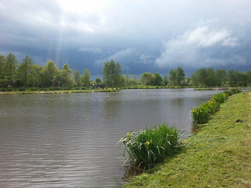 Etang de la Basse Morlière