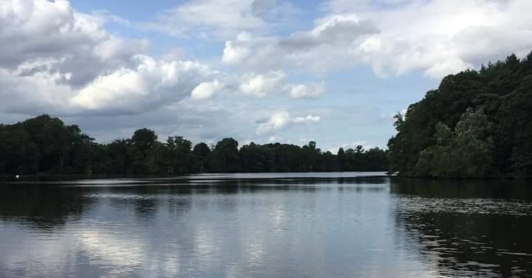 Willesley Lake Carp Syndicate