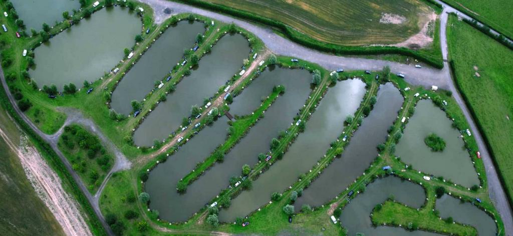 Lower Park Fisheries