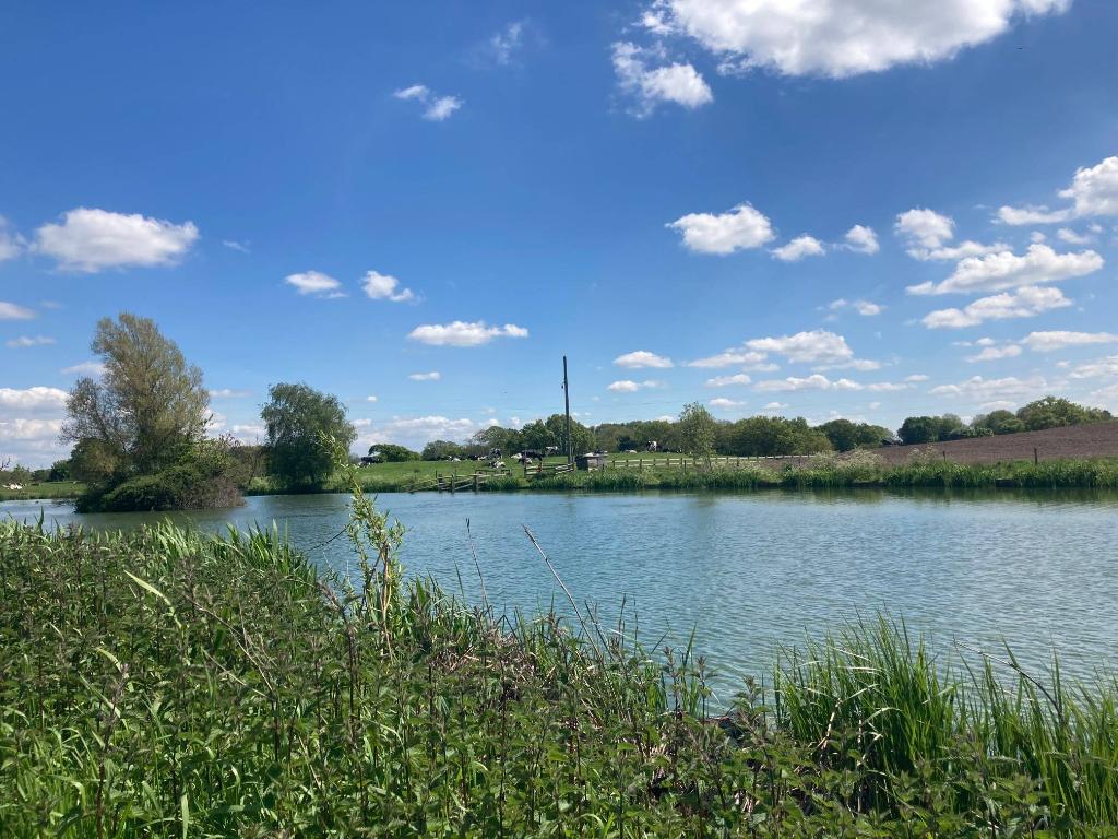 Walnut Tree Farm Fisheries