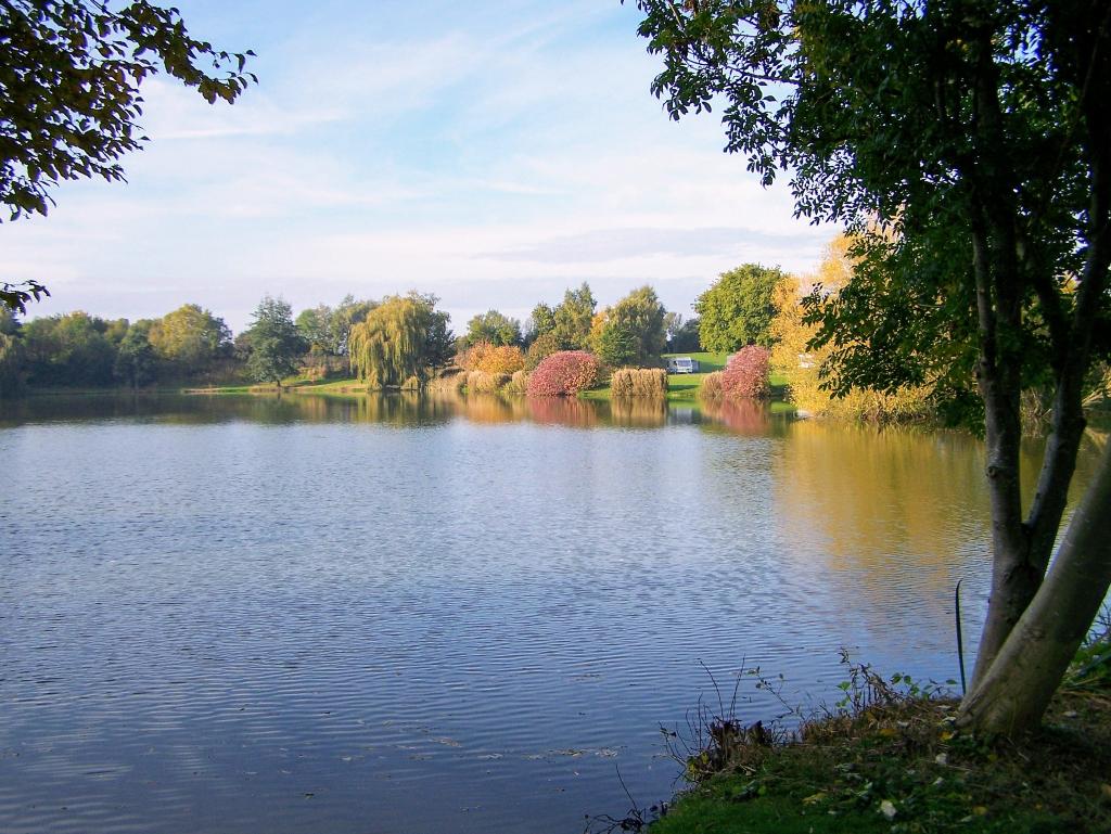 Lakeside Coarse Fishing