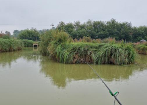 Oakfield Fisheries