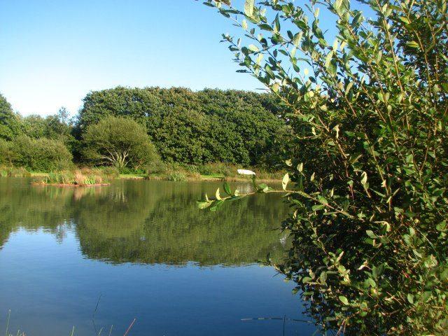 Puddleduck Trout Fishery