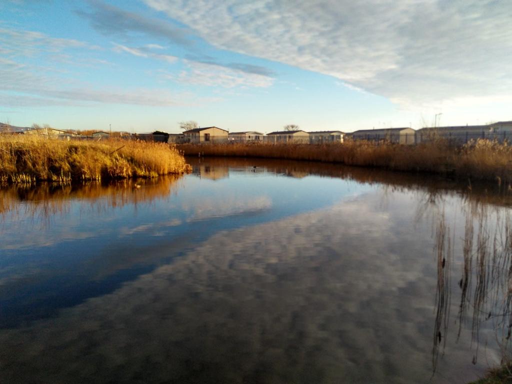 Rhyl Cut Coarse Fishing Lakes