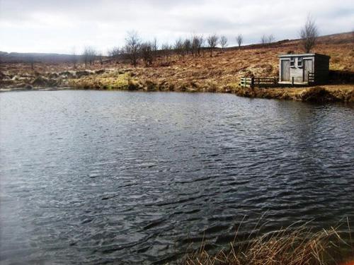 Lake Hill Game Fishery