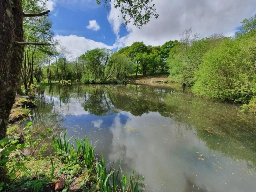 Blackmountain Fishing and Camping