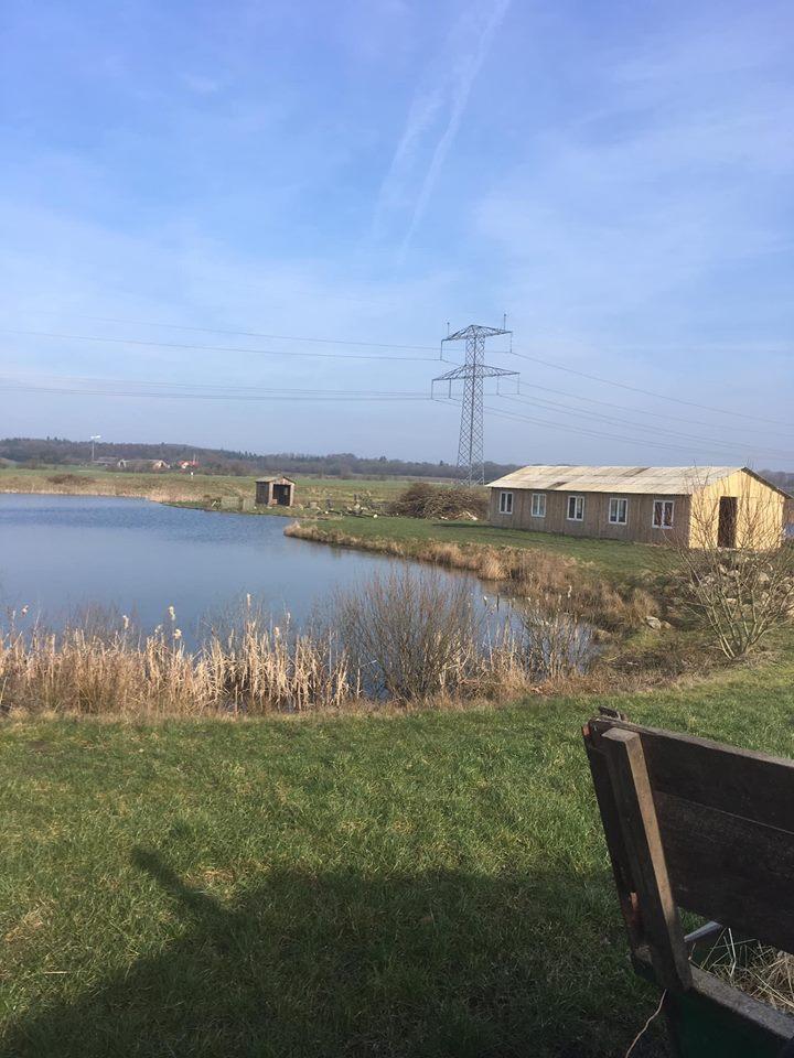 Enghave Dyre & Naturpark