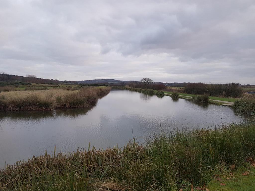 Hall Lane Fishery