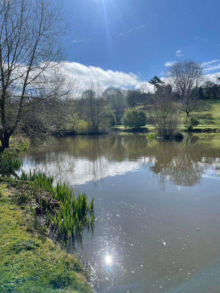 Lloyds Meadow Fishery