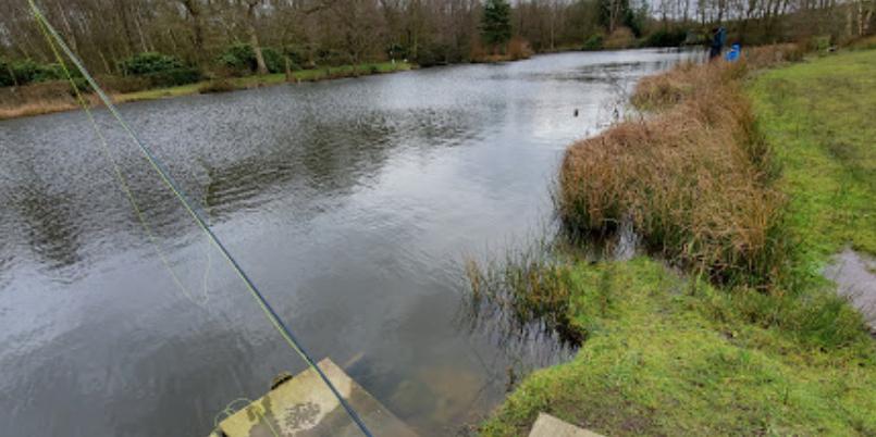 Marton Heath Trout Pools