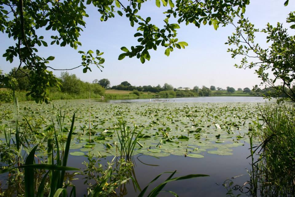 Blakemere Fishery