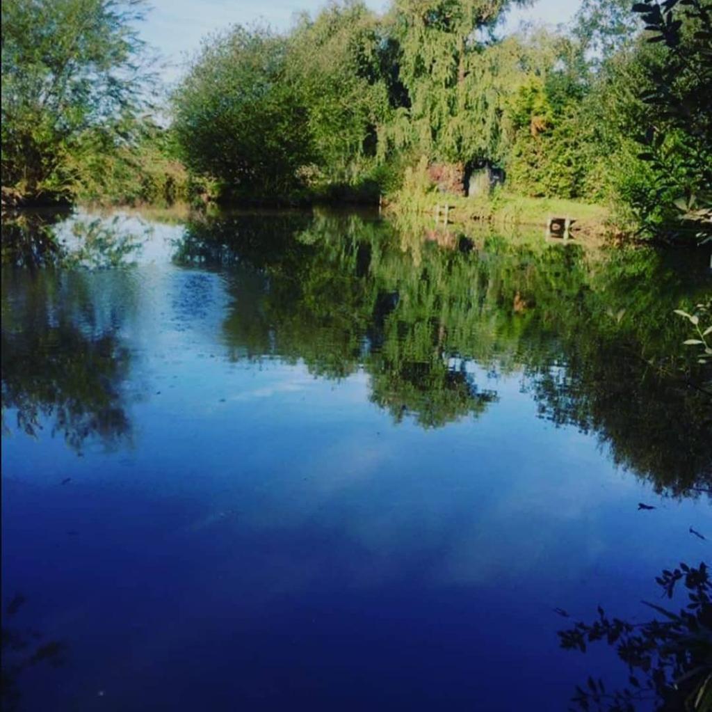 Stoat Hall Fisheries