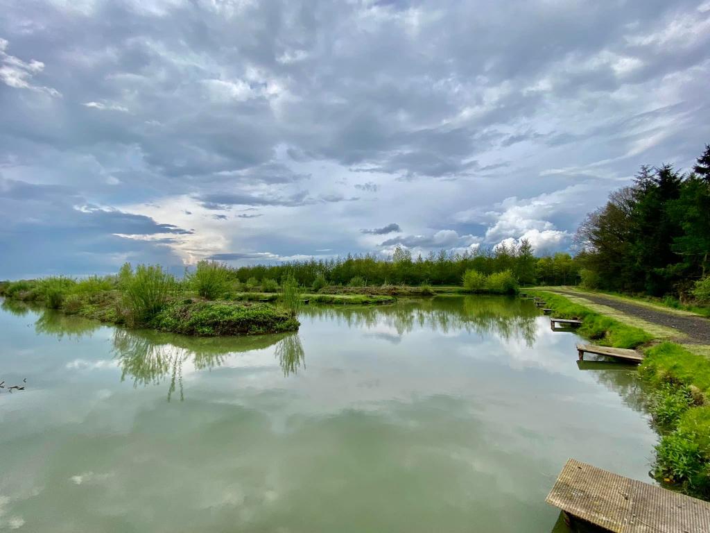 Brafferton Carp Fishery