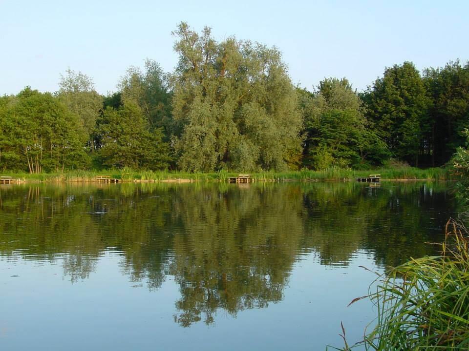 Southfield Fisheries