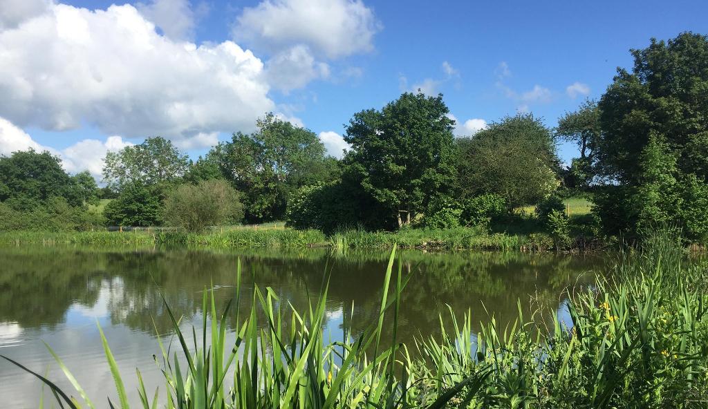 Grafton Mere Fishing Lakes