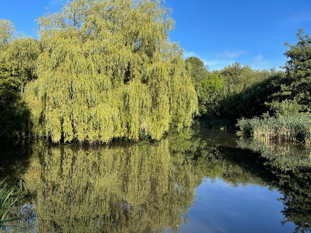 Warrens Hall Fishing Pools and Canal