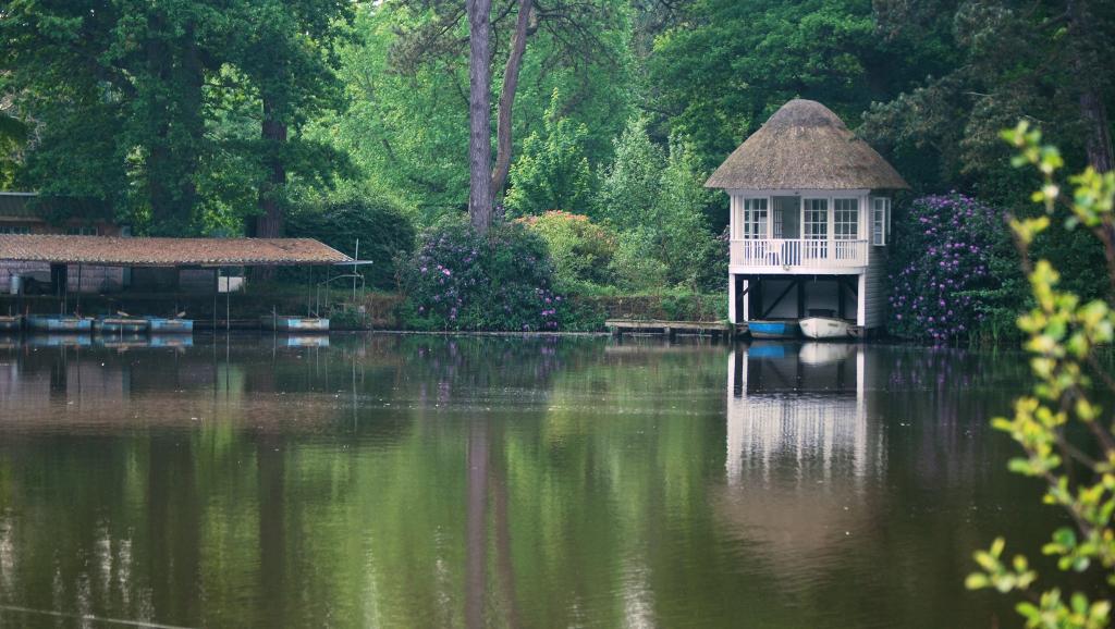 Ashdown Forest Fly Fishery