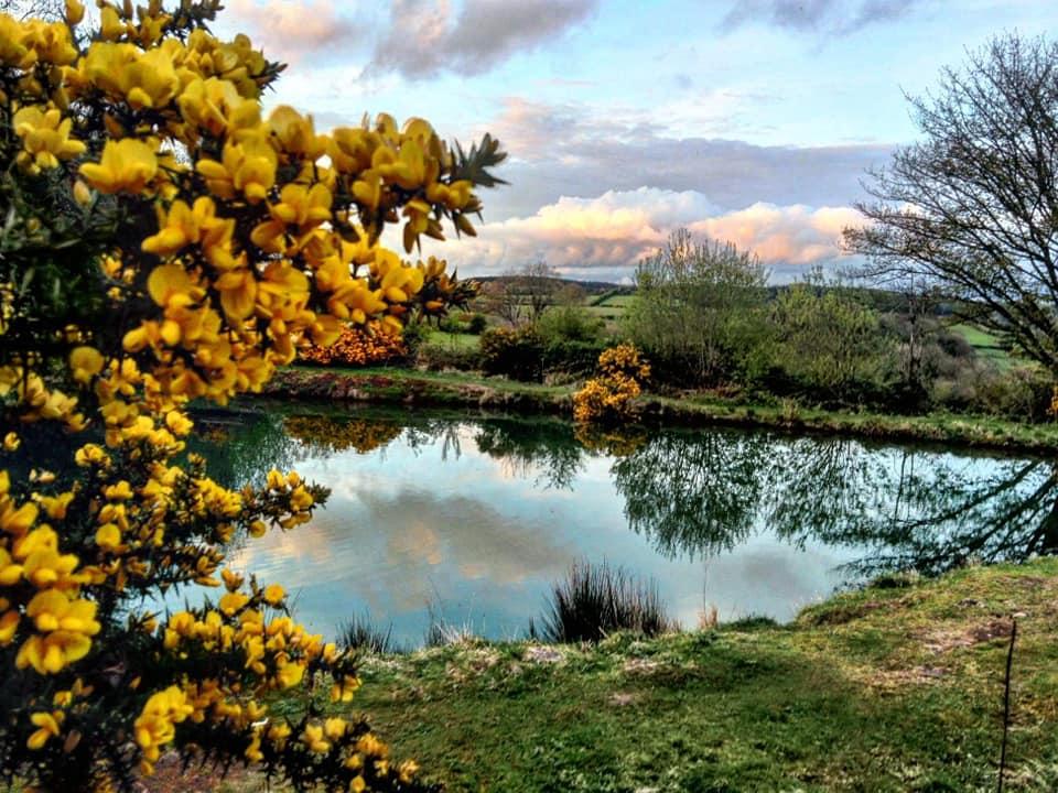 Temple Springs Fishery