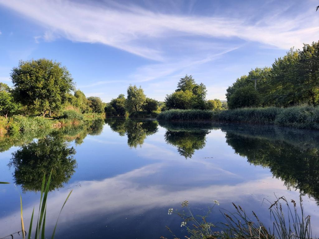 Milemead Lakes and Tackle