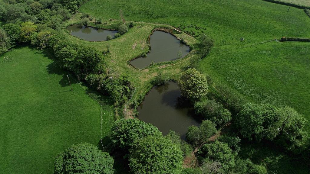 Serenity Coarse Fishery