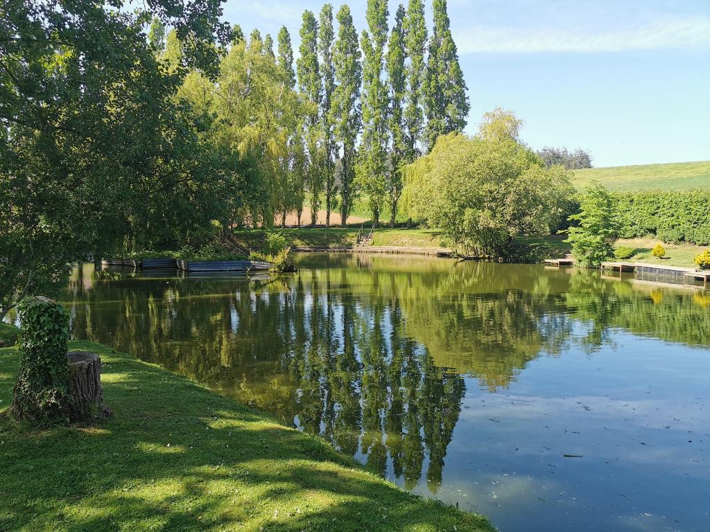 Home Farm Fishery