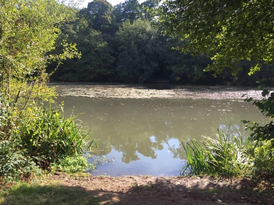 Combe Bank Fisheries