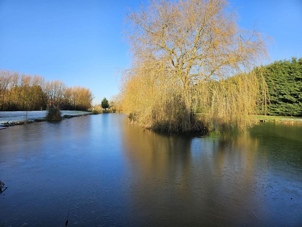 Wold View Country Park & Fisheries