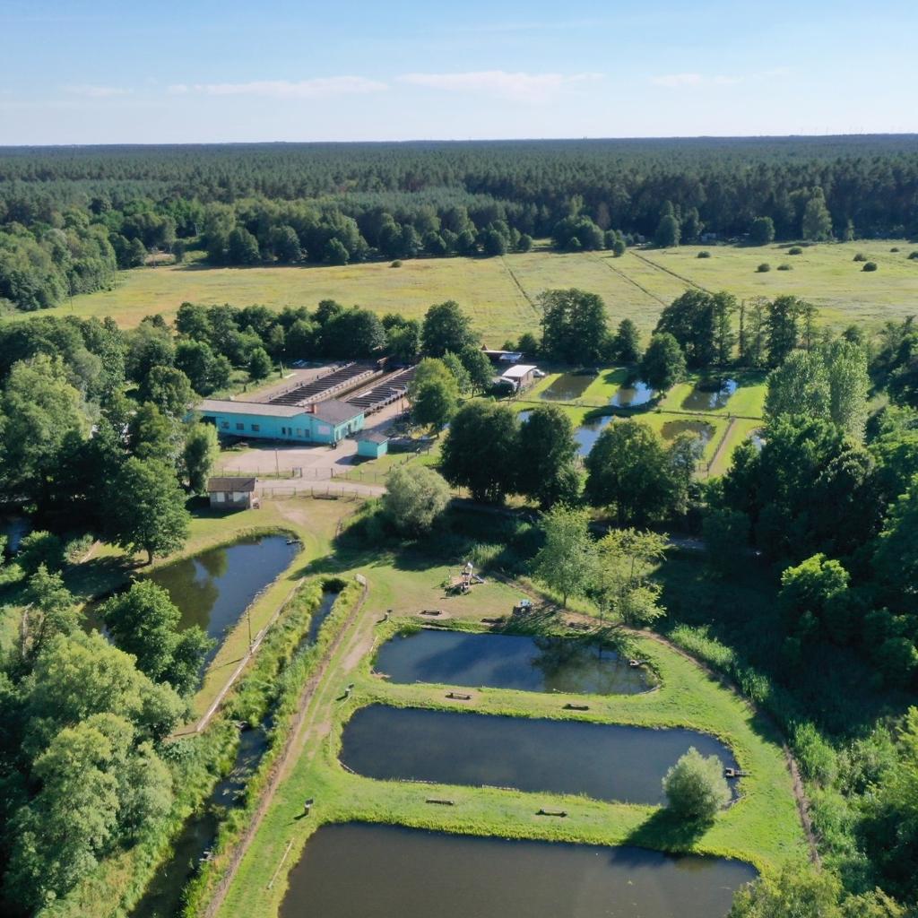 Fischzucht Zippelsförde