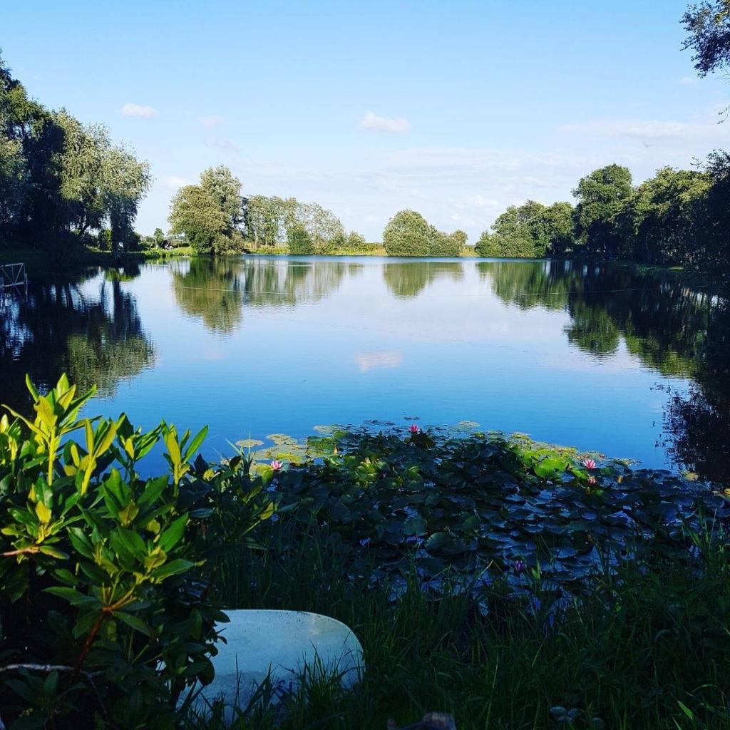 Forellenteich Tergast