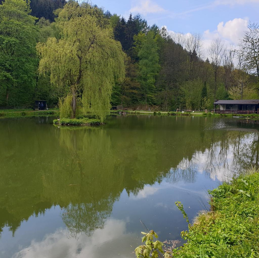 Forellenhof Mühlenweiher