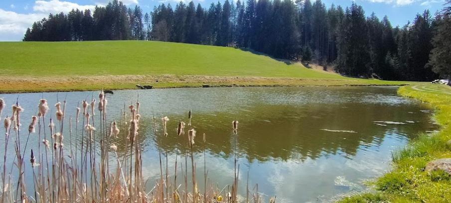 Angelteich Gschwendtnermühlweiher