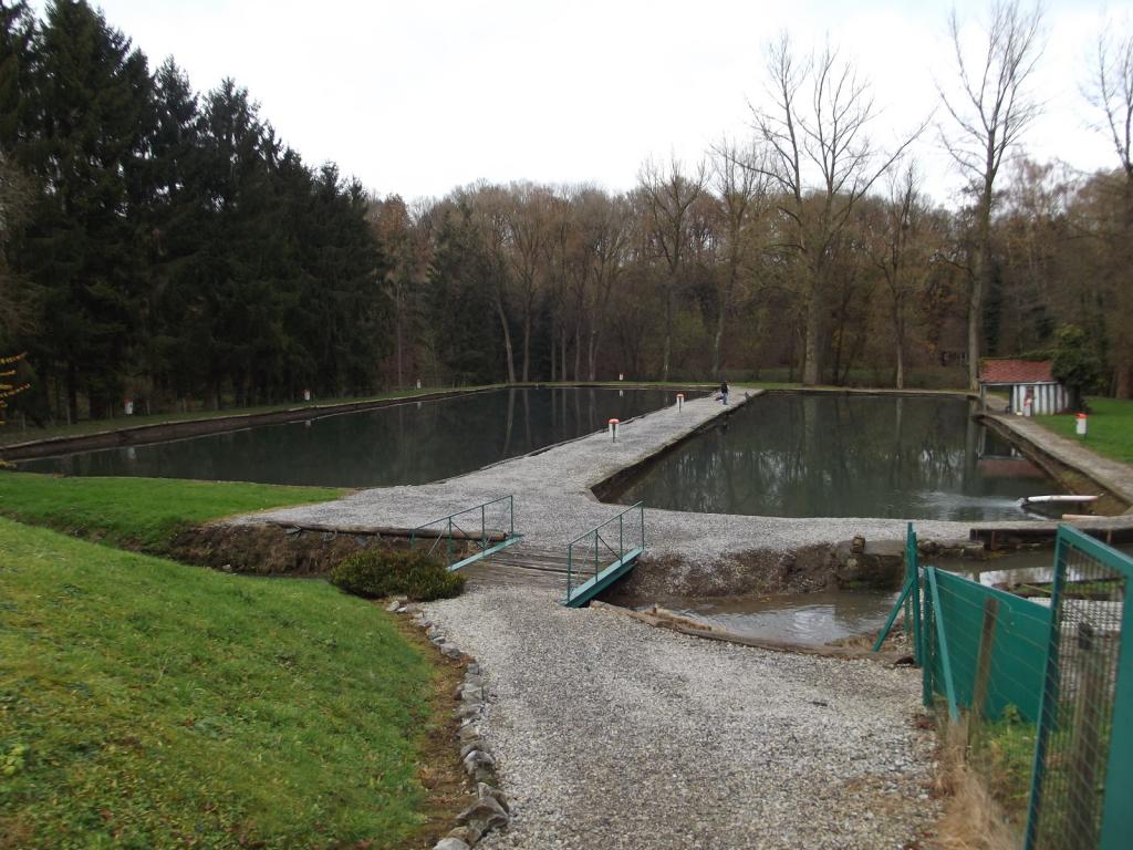 Étang du Vieux Moulin