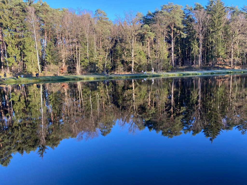 Angelteich Rutenmühle