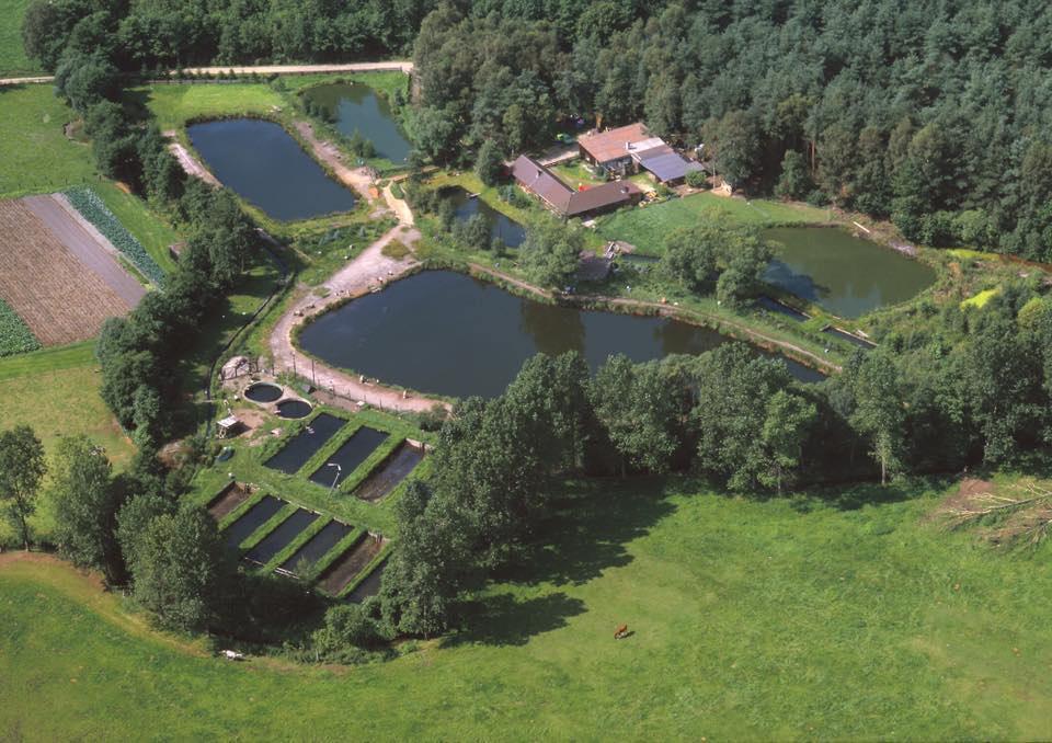 Forellenhof am Finkenberge