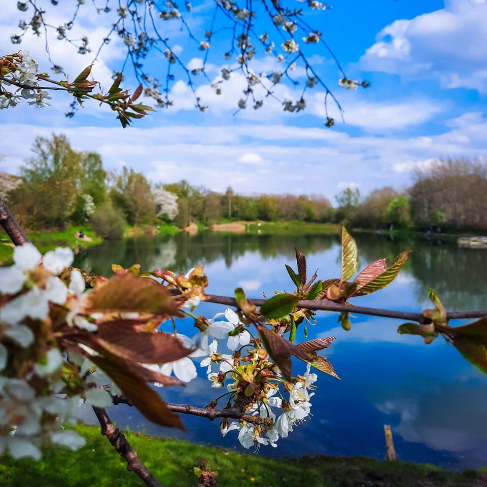 Angelsee Heiligenstedten