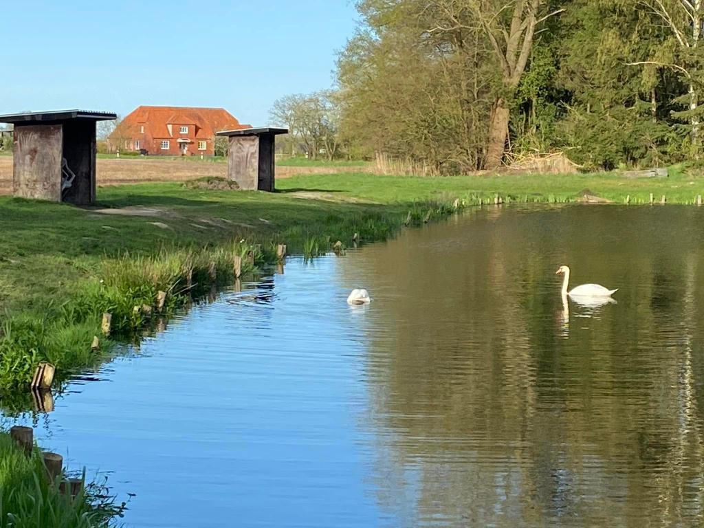 Forellenteich Bullendorf