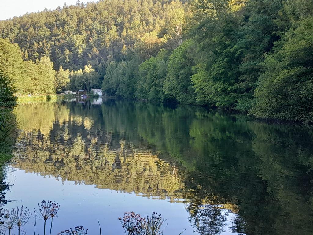 Wolkensteiner Angelpark