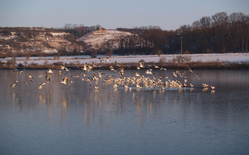 Fischerhof am Kernersee