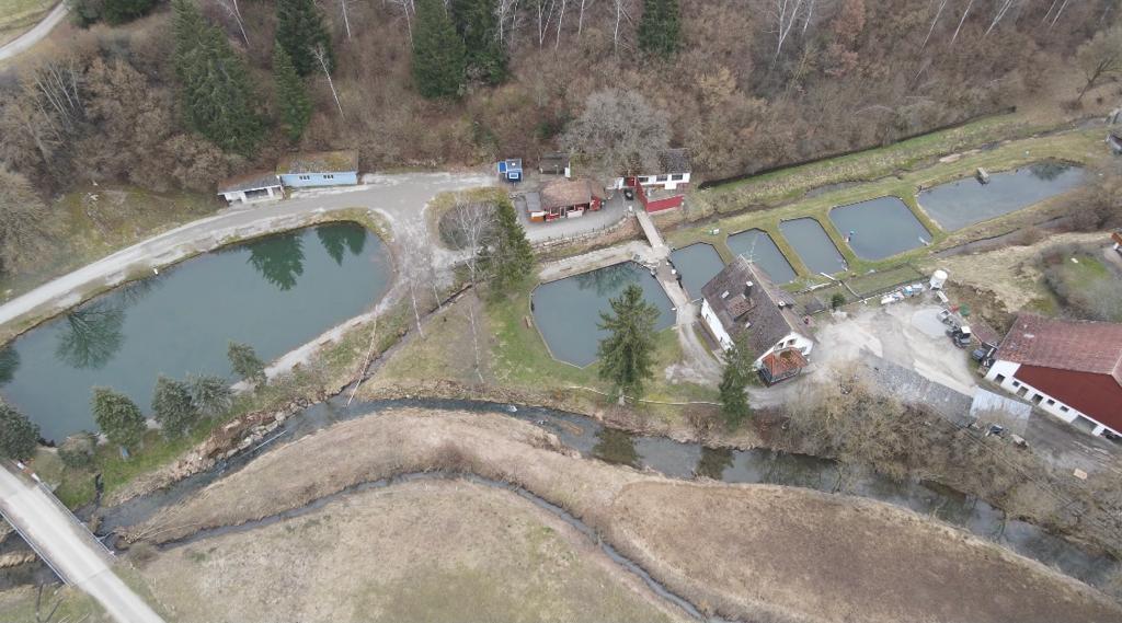 Forellenzucht Belser