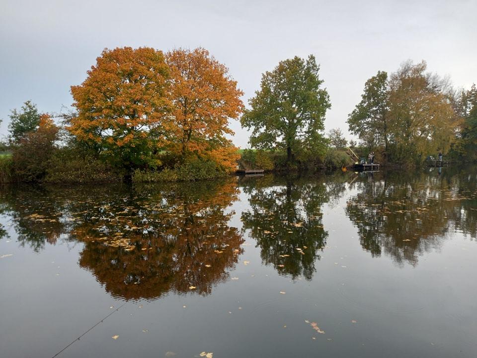 Forellensee Nordhackstedt