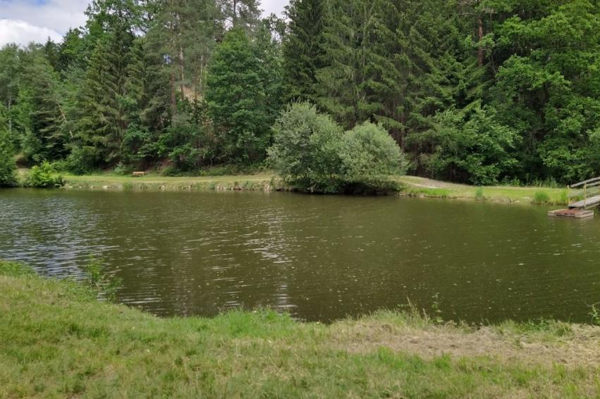 Fischteich Altpölla