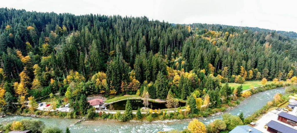 Lärchenteich Hopfgarten