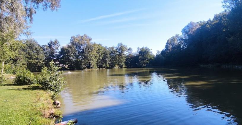 Enser's Karpfenparadies