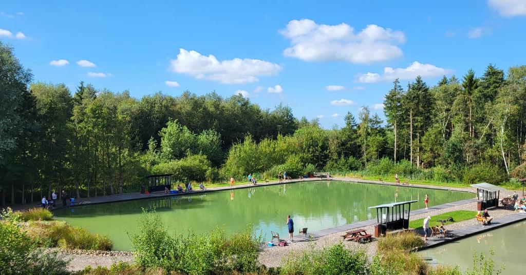 Forelvijver de Boshoek 2.0